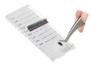 PALETA CRISTAL PARA PESTAÑAS