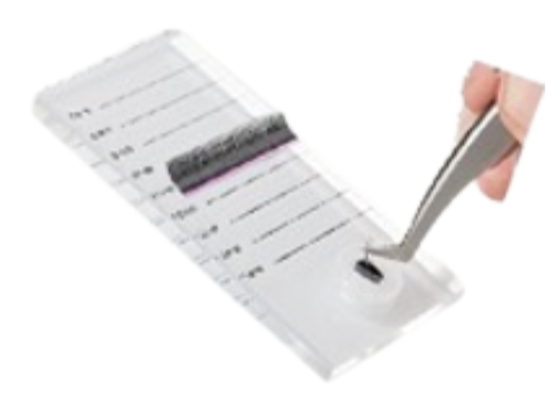 PALETA CRISTAL PARA PESTAÑAS